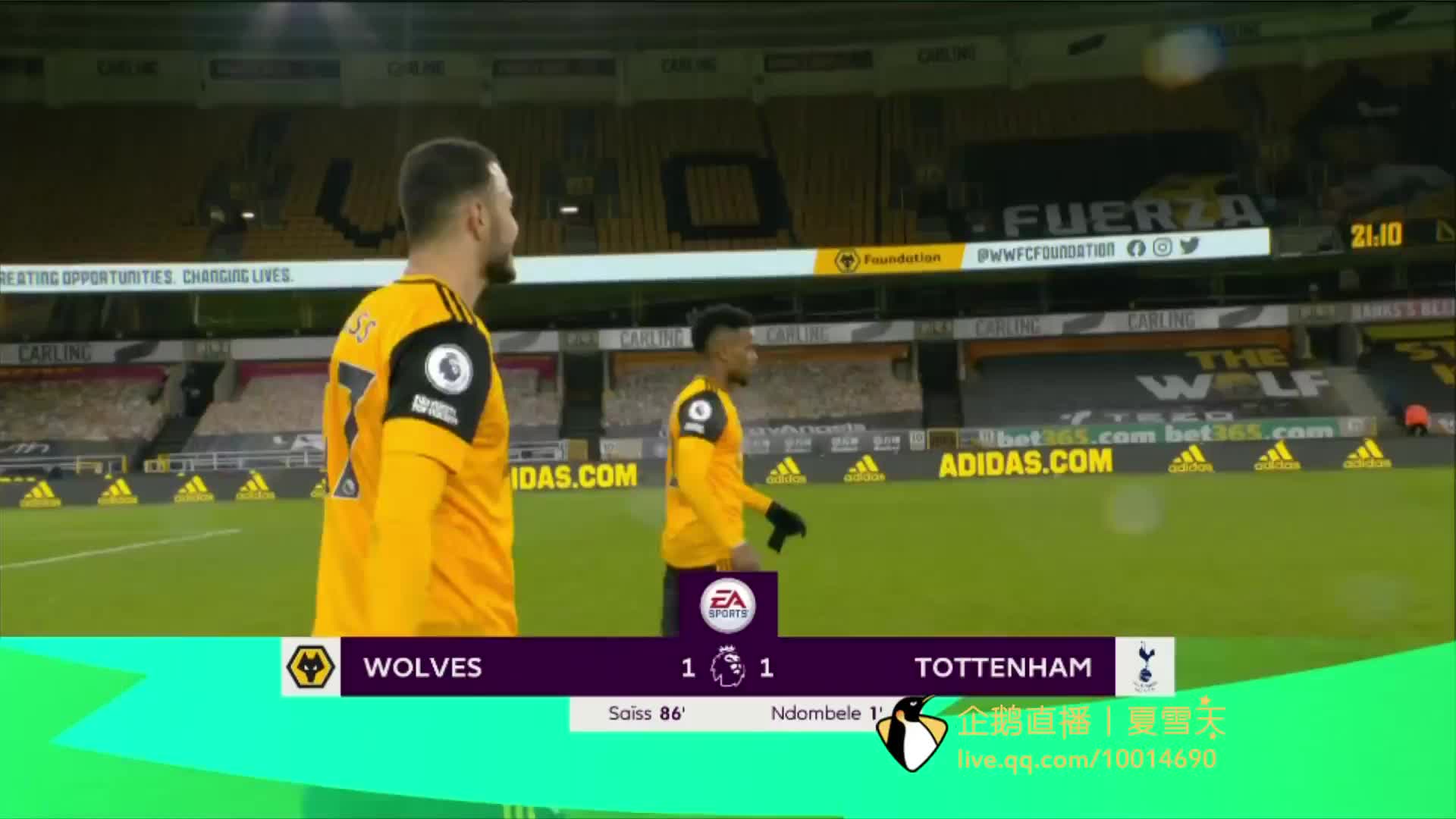 罗马队的后 罗马队的后